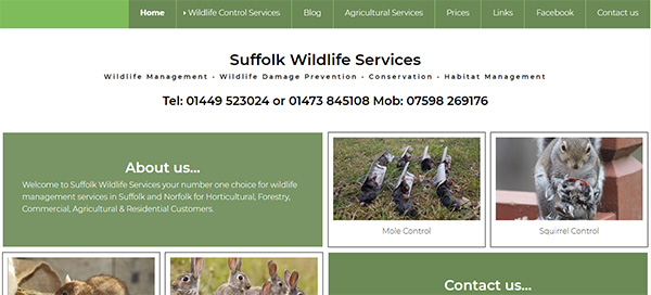 Suffolk Wildlife Services