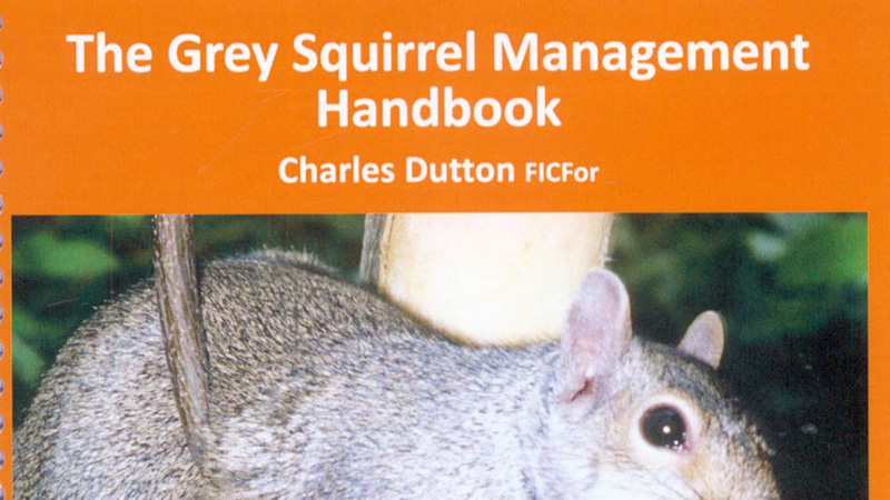 Grey Squirrel Control